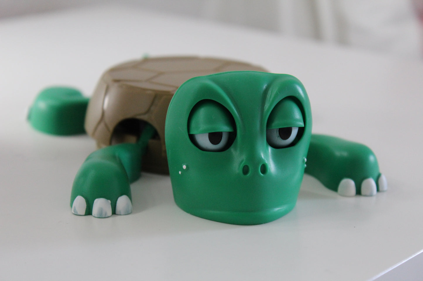 TortuLook™